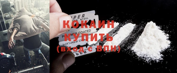 шишки Абаза
