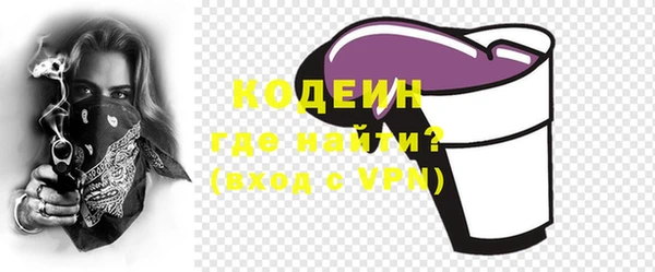 шишки Абаза