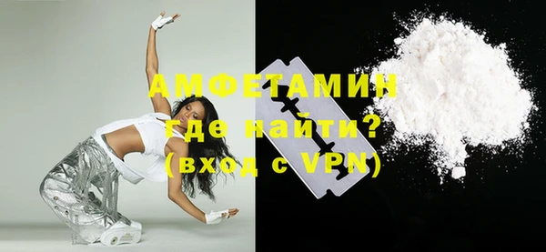 шишки Абаза