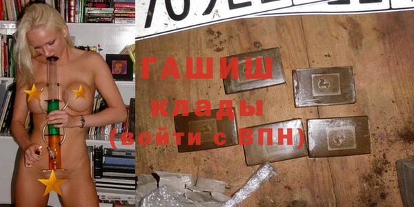 шишки Абаза