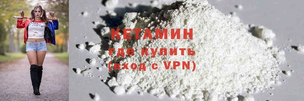 шишки Абаза